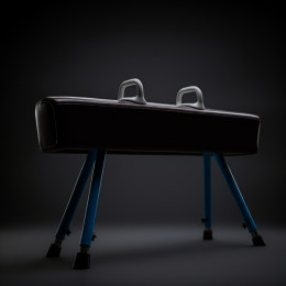 Конь гимнастический маховый